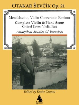 Violin Concerto in E minor