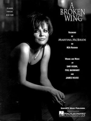 A Broken Wing A Broken Wing